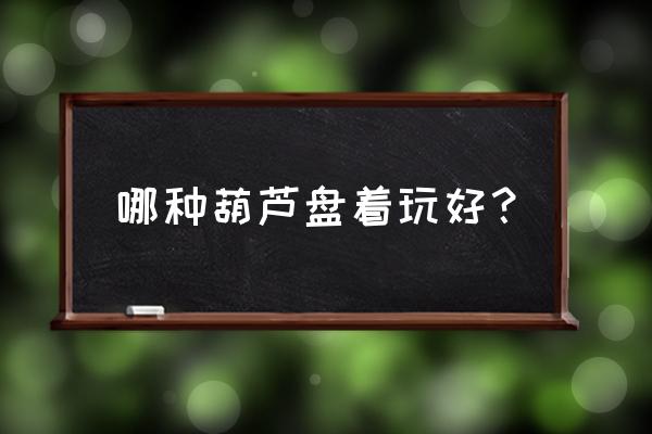 文玩葫芦盘玩教程大全 哪种葫芦盘着玩好？