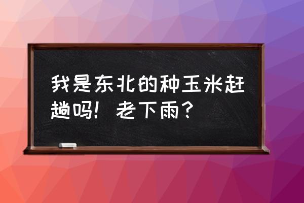 什么药能防止玉米粒生芽 我是东北的种玉米赶趟吗！老下雨？