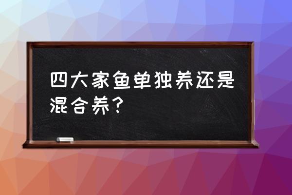 草鱼与青鱼为什么不适合搭配混养 四大家鱼单独养还是混合养？