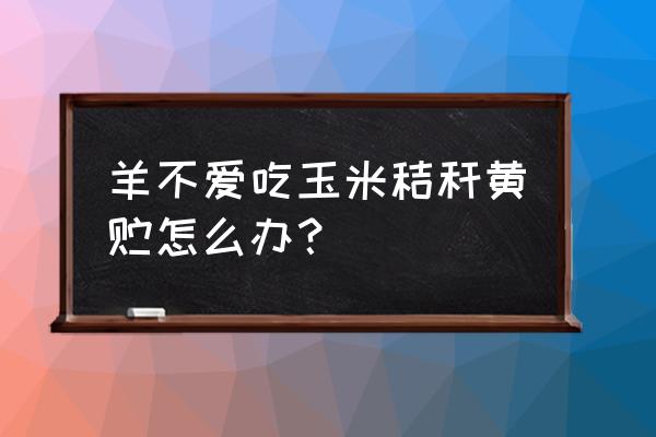 什么草不适合羊吃 羊不爱吃玉米秸秆黄贮怎么办？