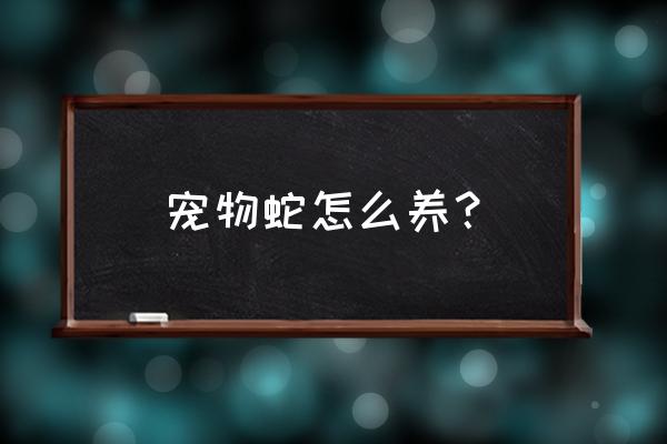 宠物青蛙的养殖方法 宠物蛇怎么养？