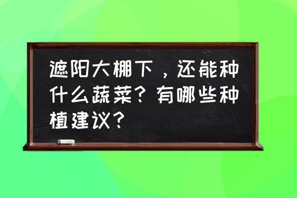 大棚莴笋一亩利润 遮阳大棚下，还能种什么蔬菜？有哪些种植建议？