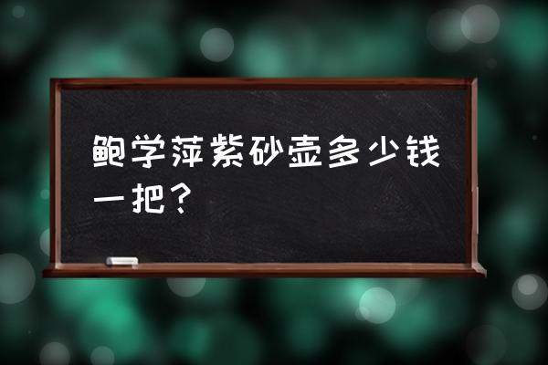 紫砂壶钱进老师作品 鲍学萍紫砂壶多少钱一把？