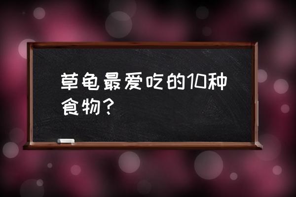 蚯蚓喂什么食物最好 草龟最爱吃的10种食物？