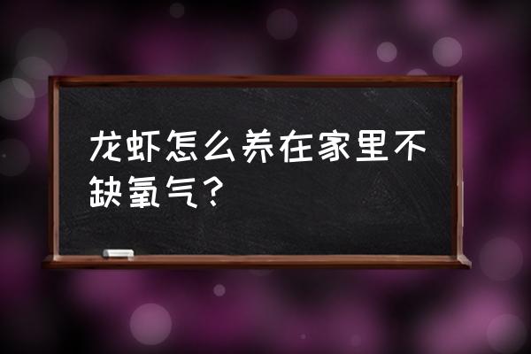 家庭养小龙虾怎么饲养 龙虾怎么养在家里不缺氧气？