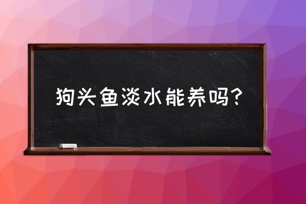 狗头鱼为什么不能养 狗头鱼淡水能养吗？