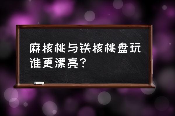 云南铁核桃玩多久能包浆 麻核桃与铁核桃盘玩谁更漂亮？