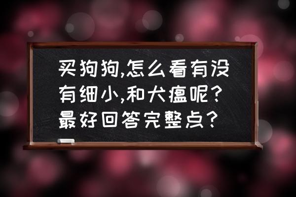 如何判断狗狗体内是否有寄生虫 买狗狗,怎么看有没有细小,和犬瘟呢？最好回答完整点？