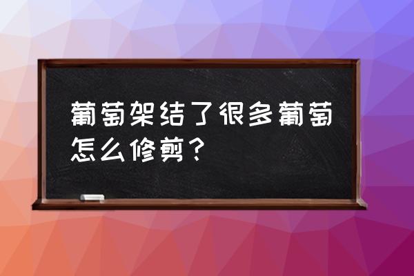 温室大棚葡萄的种植方法和修剪 葡萄架结了很多葡萄怎么修剪？