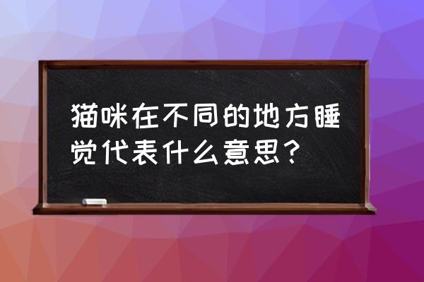 猫睡沙发不睡猫窝怎么办 猫咪在不同的地方睡觉代表什么意思？