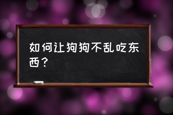 怎么解决狗狗去户外乱闻乱吃 如何让狗狗不乱吃东西？