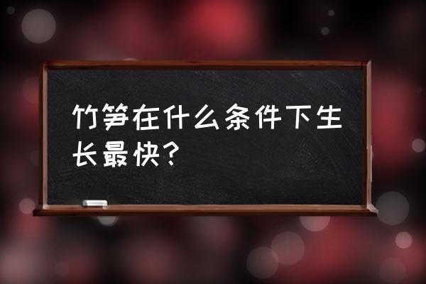 冬笋能长成竹子吗 竹笋在什么条件下生长最快？