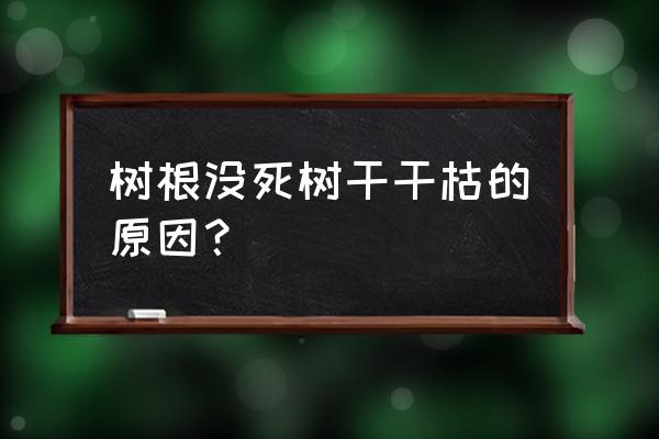 各种果树的树干的画法 树根没死树干干枯的原因？