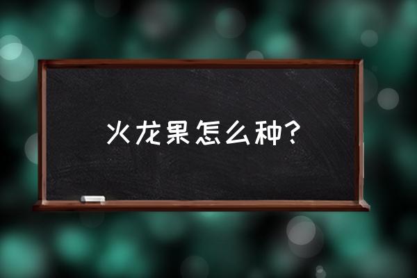 火龙果种子怎么种植盆栽能长大吗 火龙果怎么种？