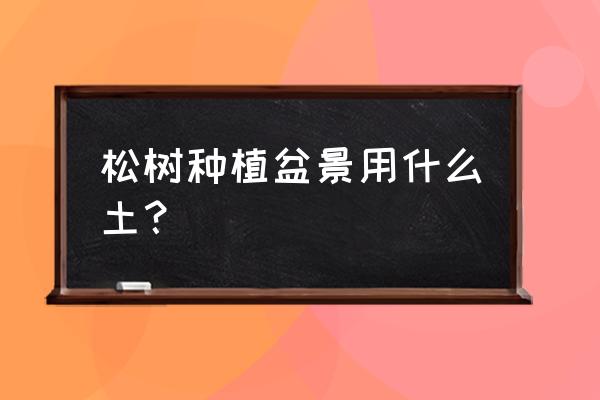 白皮松长势不好啥原因 松树种植盆景用什么土？