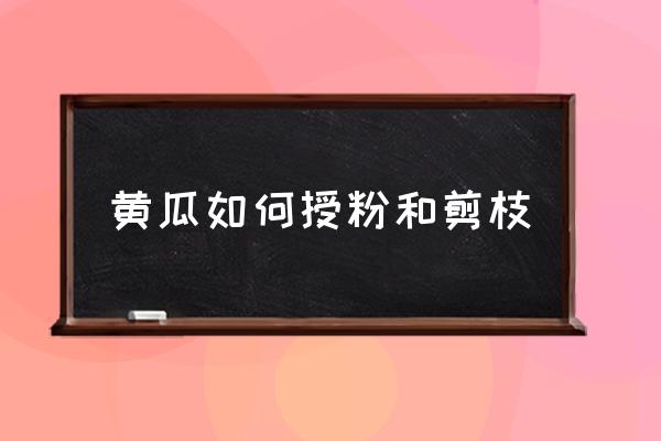 露天黄瓜怎样整枝打叉 黄瓜如何授粉和剪枝