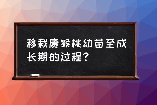 猕猴桃种子种出盆栽能结果吗 移栽猕猴桃幼苗至成长期的过程？