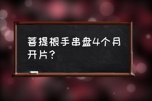 菩提根手串加工制作过程 菩提根手串盘4个月开片？