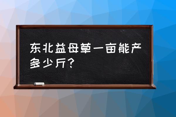 益母草种植的最佳时间 东北益母草一亩能产多少斤？