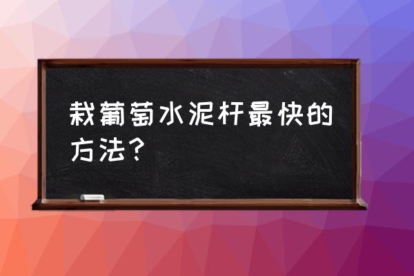 自己做葡萄干最快方法 栽葡萄水泥杆最快的方法？