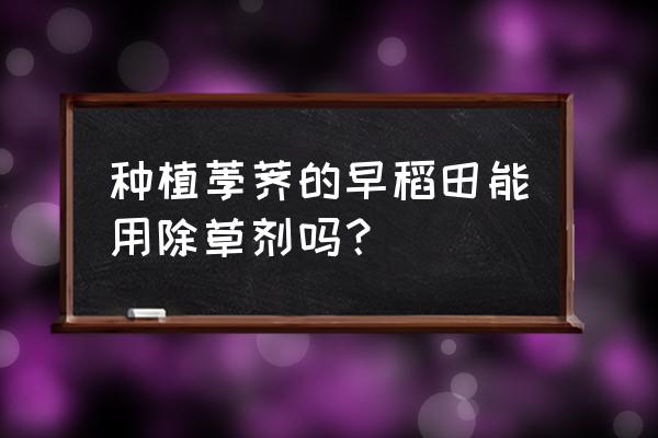 丁草胺使用在蔬菜上多久才能吃 种植荸荠的早稻田能用除草剂吗？