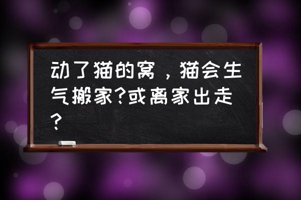 给猫咪搬家换环境它心里怎么想的 动了猫的窝，猫会生气搬家?或离家出走？