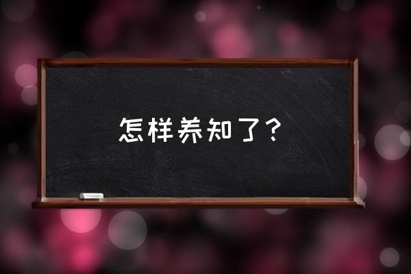 乌龟冬天放干沙还是湿沙 怎样养知了？