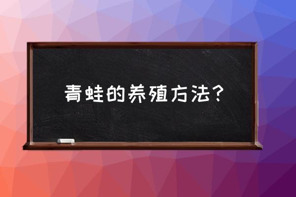 青蛙怎么养成最好 青蛙的养殖方法？