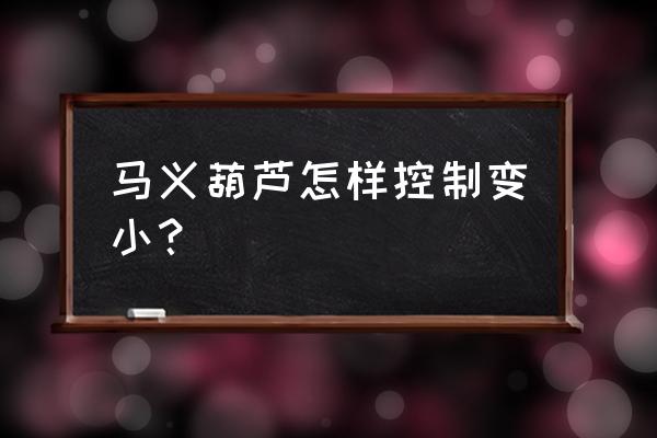 种植把玩葫芦怎么控制大小 马义葫芦怎样控制变小？