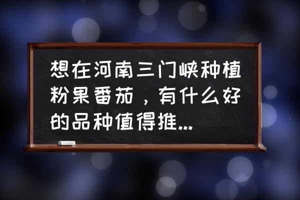 京粉邀请好友有什么好处 想在河南三门峡种植粉果番茄，有什么好的品种值得推荐的呢？