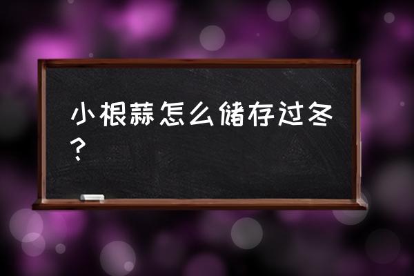 新鲜大蒜苗的最佳保存方法冬天 小根蒜怎么储存过冬？