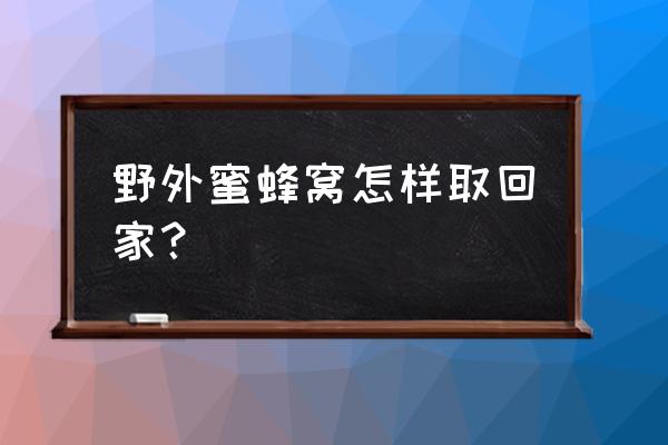 寻找土蜜蜂窝的方法 野外蜜蜂窝怎样取回家？