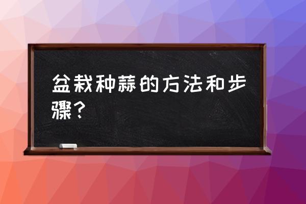 在家怎么种大蒜盆栽 盆栽种蒜的方法和步骤？