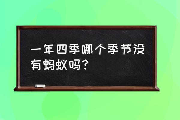 蚂蚁庄园嫩叶为什么多呈红色答案 一年四季哪个季节没有蚂蚁吗？