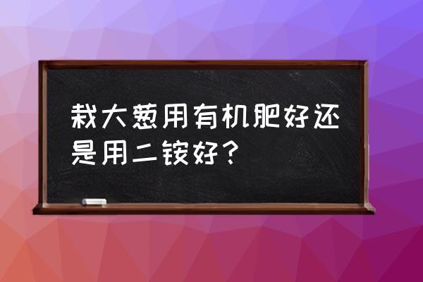 大葱施肥哪类肥料好 栽大葱用有机肥好还是用二铵好？