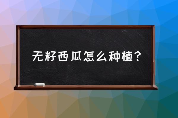 一分钟学会如何挑西瓜的五大技巧 无籽西瓜怎么种植？