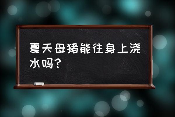 猪场防暑降温解决方法 夏天母猪能往身上浇水吗？