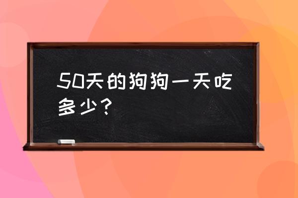 40天的松狮幼犬吃多少 50天的狗狗一天吃多少？