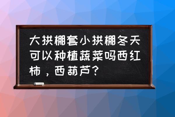 拱棚油菜的种植方法 大拱棚套小拱棚冬天可以种植蔬菜吗西红柿，西葫芦？