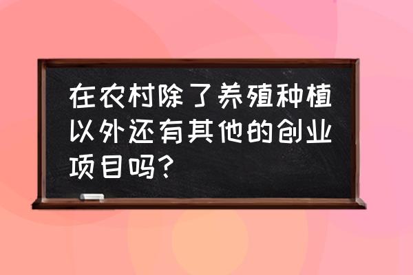 100个乡村旅游项目总有一款适合你 在农村除了养殖种植以外还有其他的创业项目吗？