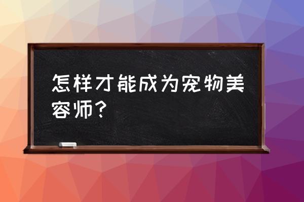 狗狗美容必备药品有哪些 怎样才能成为宠物美容师？