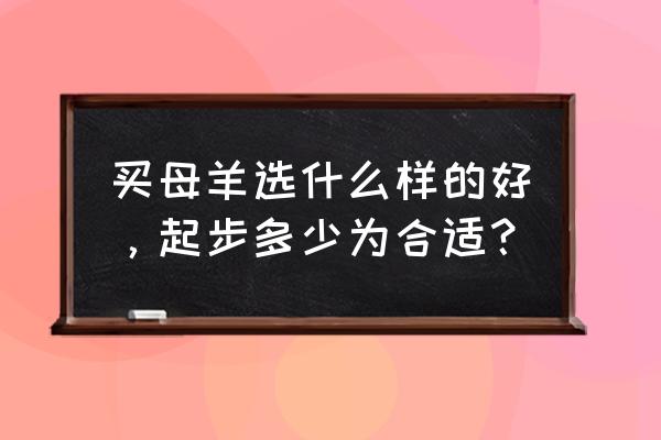 羊了个羊怎么起步的 买母羊选什么样的好，起步多少为合适？