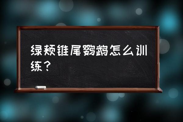 手指印画小动物简单小鸟 绿颊锥尾鹦鹉怎么训练？