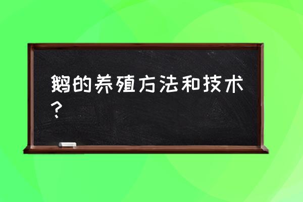 学习养鹅技术 鹅的养殖方法和技术？