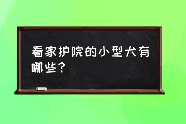 罗威纳犬不敢防卫怎么办 看家护院的小型犬有哪些？