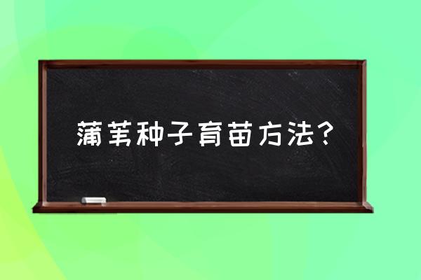 矮牛怎么育苗 蒲苇种子育苗方法？