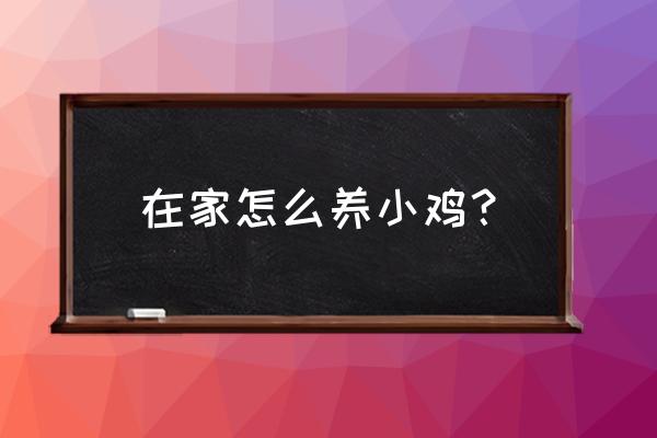 小鸡会到哪个盘子吃食答案解析 在家怎么养小鸡？