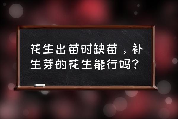 移栽不带土的花生能活吗 花生出苗时缺苗，补生芽的花生能行吗？