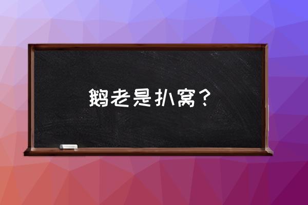 广东扒鹅的做法大全家常 鹅老是扒窝？