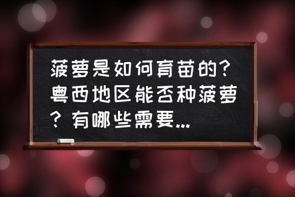 种菠萝的最佳方法 菠萝是如何育苗的？粤西地区能否种菠萝？有哪些需要注意的？